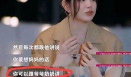 刘大锤最新爆料夫妻,夫妻档明星背后的甜蜜与挑战