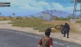 和平精英最新爆料顶瓜瓜,顶瓜瓜带你揭秘游戏最新动态